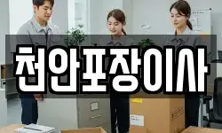 천안포장이사