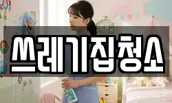 쓰레기집청소