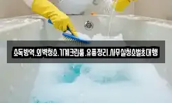소독방역.외벽청소.기계크린룸.유품정리.사무실청소벌초대행