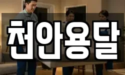 천안용달