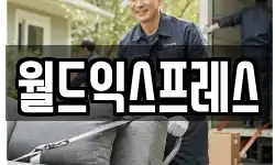 월드익스프레스