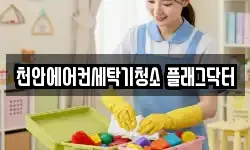 천안에어컨세탁기청소 플래그닥터