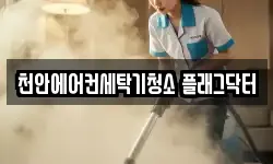 천안에어컨세탁기청소 플래그닥터