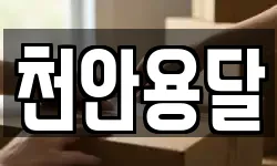 천안용달