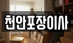 천안포장이사
