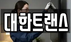 대한트랜스