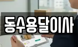 동수용달이사