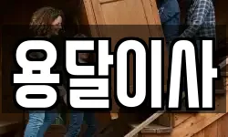 용달이사