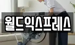 월드익스프레스
