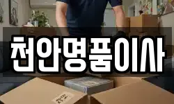 천안명품이사