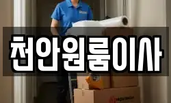 천안원룸이사