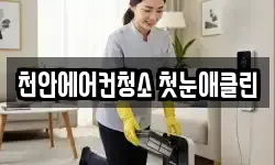 천안에어컨청소 첫눈애클린