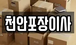 천안포장이사