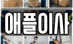 애플이사