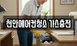충청남도 천안시 동남구 청수동 청소,입주청소,사무실청소,에어컨청소
