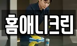 홈애니크린