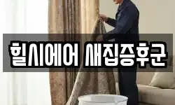 힐시에어 새집증후군