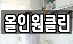 올인원클린