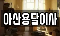 아산용달이사