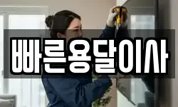 빠른용달이사
