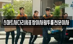 스마트사다리차포장이사원투룸전문이사