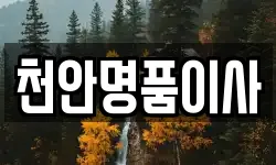 천안명품이사