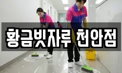 황금빗자루 천안점