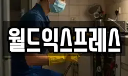 월드익스프레스