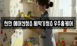충청남도 천안시 서북구 성성동 청소,입주청소,사무실청소,에어컨청소
