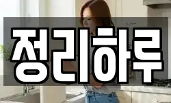 정리하루