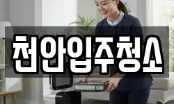 천안입주청소