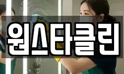 충청남도 천안시 서북구 업성동 청소,입주청소,사무실청소,에어컨청소