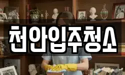 천안입주청소