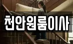 천안원룸이사
