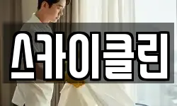 스카이클린