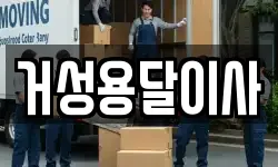 거성용달이사
