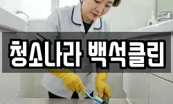 청소나라 백석클린