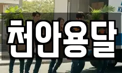 천안용달