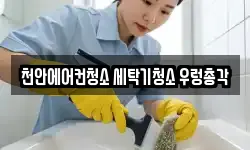 천안에어컨청소 세탁기청소 우렁총각