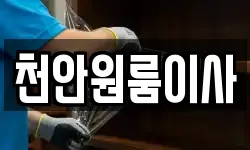천안원룸이사