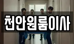 천안원룸이사