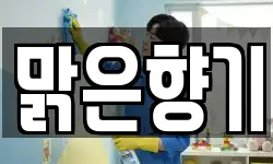 충청남도 청양군 운곡면 청소,입주청소,사무실청소,에어컨청소