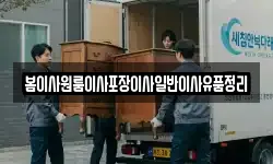 봄이사원룸이사포장이사일반이사유품정리