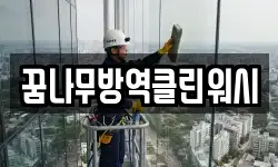 꿈나무방역클린워시