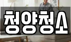 청양청소