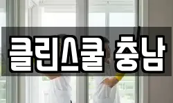 클린스쿨 충남