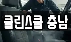 클린스쿨 충남