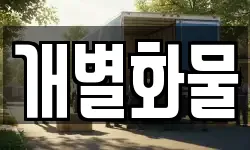 개별화물