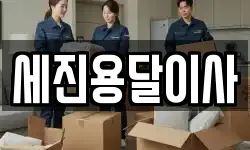 세진용달이사