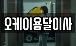오케이용달이사